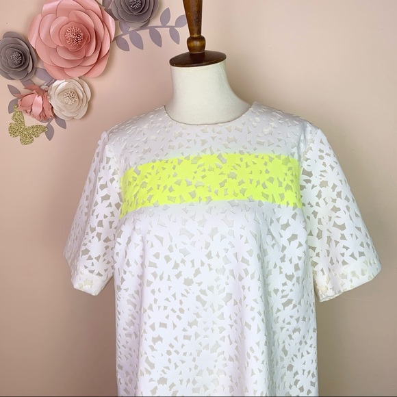 New! ELIZABETH & JAMES Chelle Flocked Shift Dress - Picture 6 of 12